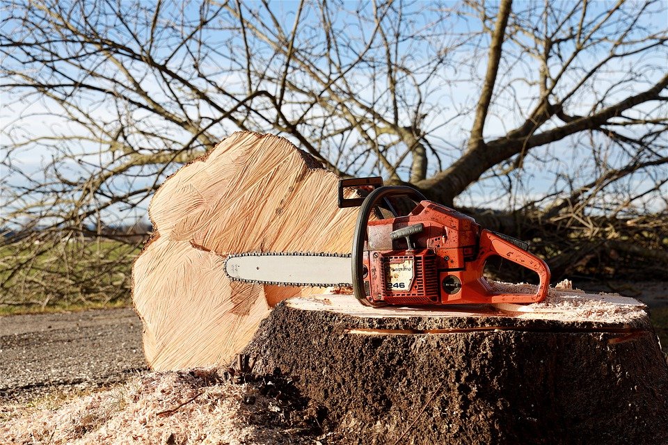 chainsaw-4815949_960_720.jpg - 232,18 kB